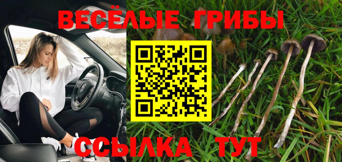 Псилоцибиновые грибы Magic Shrooms Снежинск